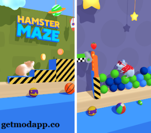 Hamster Maze Mod APK